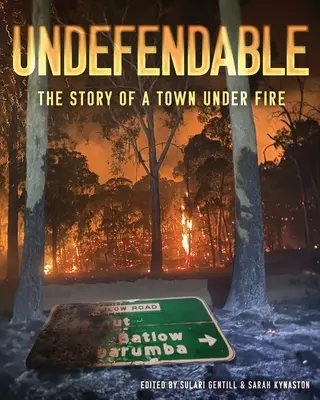 Undefendable : L'histoire d'une ville en feu - Undefendable: The Story of a Town Under Fire