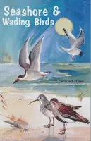 Les oiseaux de mer et les échassiers de Floride - Seashore and Wading Birds of Florida