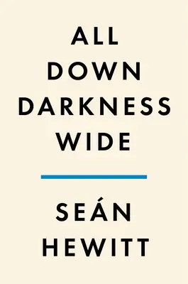 Tout en bas, les ténèbres s'étendent : un mémoire - All Down Darkness Wide: A Memoir