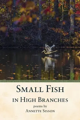 Petits poissons dans les hautes branches - Small Fish in High Branches