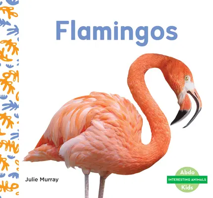 Flamants - Flamingos