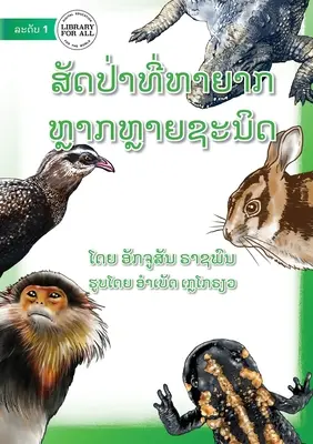 Plus d'animaux en danger - ສັດປ່າທີ່ຫາຍາກ ມີຫ% - More Endangered Animals - ສັດປ່າທີ່ຫາຍາກ ມີຫ%
