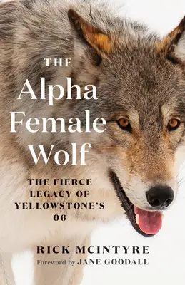 Le loup femelle alpha : l'héritage féroce de la louve 06 de Yellowstone - The Alpha Female Wolf: The Fierce Legacy of Yellowstone's 06