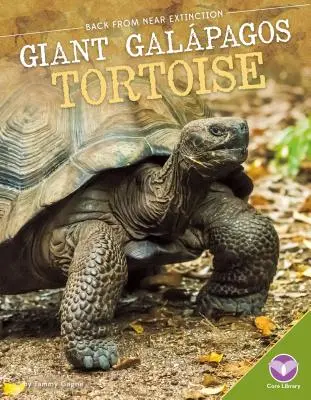 Tortue géante des Galápagos - Giant Galpagos Tortoise