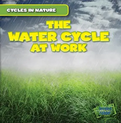 Le cycle de l'eau au travail - The Water Cycle at Work