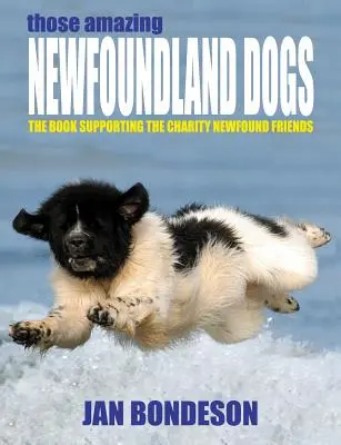 Ces étonnants chiens de Terre-Neuve - Those Amazing Newfoundland Dogs