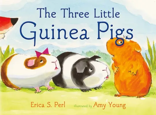 Les trois petits cochons d'Inde - The Three Little Guinea Pigs