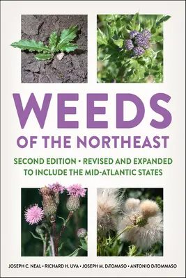 Les mauvaises herbes du nord-est - Weeds of the Northeast