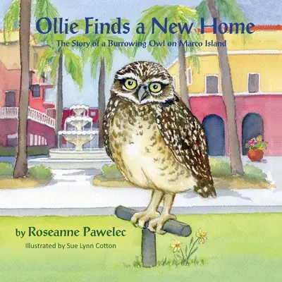 Ollie trouve un nouveau foyer : l'histoire d'une chevêche des terriers à Marco Island - Ollie Finds a New Home, The Story of a Burrowing Owl on Marco Island