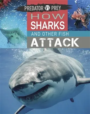 Predator Vs Prey : Comment les requins et autres poissons attaquent ! - Predator Vs Prey: How Sharks and Other Fish Attack!