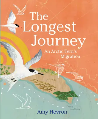 Le plus long voyage : La migration d'une sterne arctique - The Longest Journey: An Arctic Tern's Migration