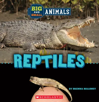 Reptiles (Le monde sauvage : grands et petits animaux) - Reptiles (Wild World: Big and Small Animals)