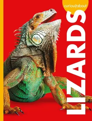 Curieux des lézards - Curious about Lizards