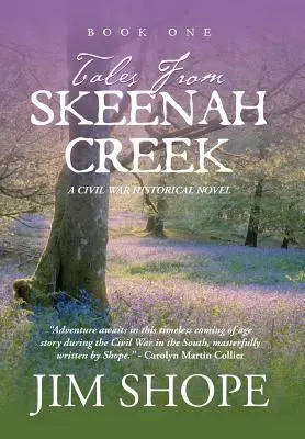 Contes de Skeenah Creek : Un roman historique sur la guerre de Sécession - Tales From Skeenah Creek: A Civil War Historical Fiction Novel