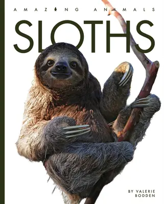 Paresseux - Sloths