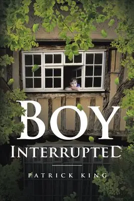 Le garçon interrompu - Boy Interrupted