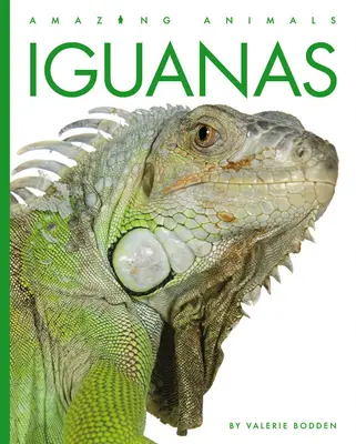 Iguanes - Iguanas