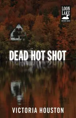 L'homme de l'ombre - Dead Hot Shot