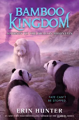 Bamboo Kingdom #3 : Voyage à la montagne du dragon - Bamboo Kingdom #3: Journey to the Dragon Mountain