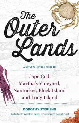 The Outer Lands : Guide d'histoire naturelle de Cape Cod, Martha's Vineyard, Nantucket, Block Island et Long Island - The Outer Lands: A Natural History Guide to Cape Cod, Martha's Vineyard, Nantucket, Block Island, and Long Island