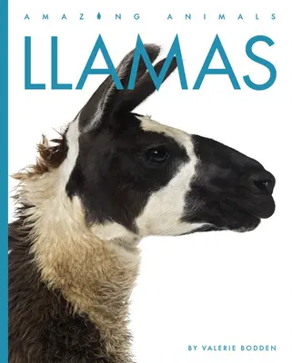 Les lamas - Llamas