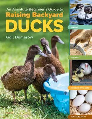 Guide du débutant absolu pour l'élevage des canards de basse-cour : Races, alimentation, logement et soins, œufs et viande - An Absolute Beginner's Guide to Raising Backyard Ducks: Breeds, Feeding, Housing and Care, Eggs and Meat