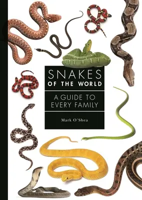 Les serpents du monde : Un guide pour chaque famille - Snakes of the World: A Guide to Every Family