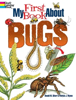 Mon premier livre sur les insectes - My First Book about Bugs