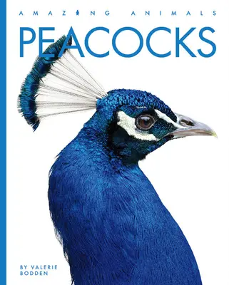 Paons - Peacocks