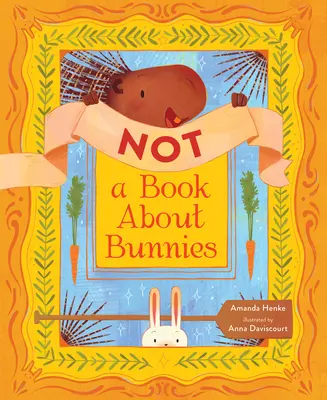 Pas un livre sur les lapins - Not a Book about Bunnies