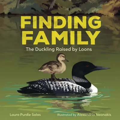 À la recherche d'une famille : Le caneton élevé par les plongeons - Finding Family: The Duckling Raised by Loons