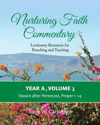 Nurturing Faith Commentary, Year A, Volume 3 : Lectionary Resources for Preaching and Teaching-Season after Pentecost : Propre 1-14 - Nurturing Faith Commentary, Year A, Volume 3: Lectionary Resources for Preaching and Teaching-Season after Pentecost: Proper 1-14