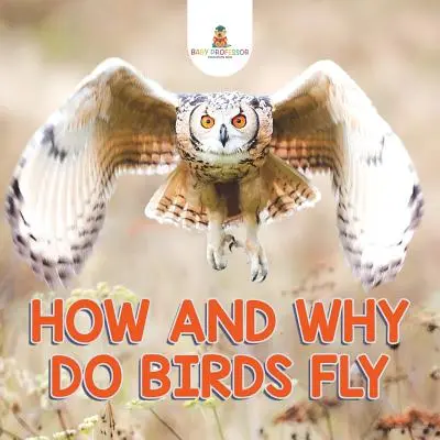 Comment et pourquoi les oiseaux volent-ils ? - How and Why Do Birds Fly