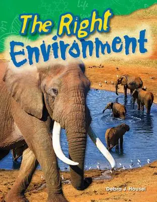 Le bon environnement - The Right Environment