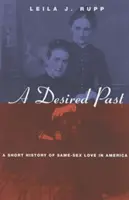 Un passé désiré : Une brève histoire de l'amour entre personnes de même sexe en Amérique - A Desired Past: A Short History of Same-Sex Love in America