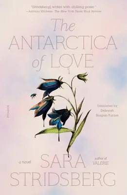 L'Antarctique de l'amour - The Antarctica of Love