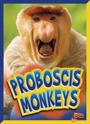 Les singes proboscis - Proboscis Monkeys