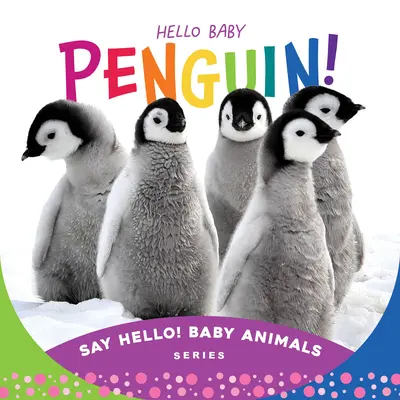 Bonjour bébé pingouin ! - Hello Baby Penguin!