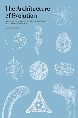 L'architecture de l'évolution : La science de la forme dans la biologie évolutive du vingtième siècle - The Architecture of Evolution: The Science of Form in Twentieth-Century Evolutionary Biology