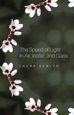La vitesse de la lumière dans l'air, l'eau et le verre - The Speed of Light in Air, Water, and Glass