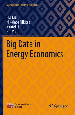 Big Data dans l'économie de l'énergie - Big Data in Energy Economics