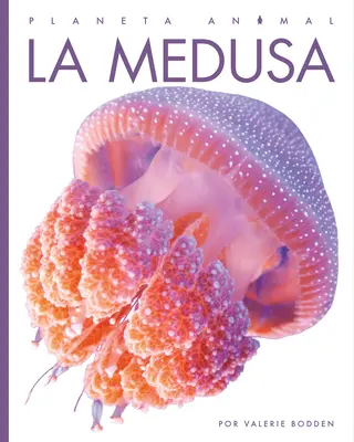 La Méduse - La Medusa