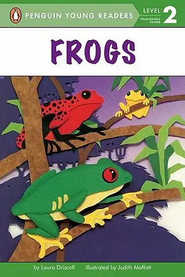 Grenouilles - Frogs