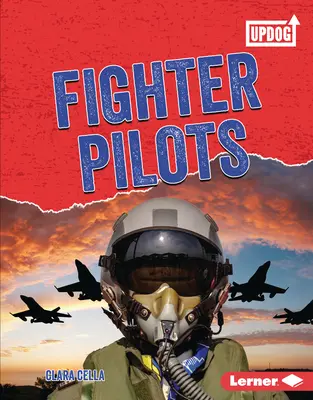 Pilotes de chasse - Fighter Pilots