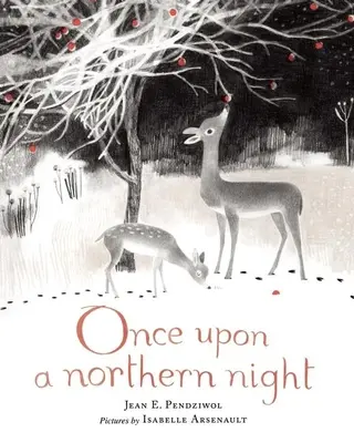 Il était une fois une nuit nordique - Once Upon a Northern Night