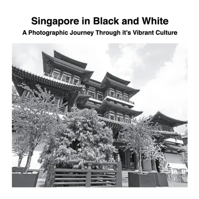 Singapour en noir et blanc : Un voyage photographique à travers sa culture vibrante - Singapore in Black and White: A Photographic Journey Through it's Vibrant Culture