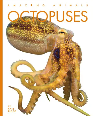 Les pieuvres - Octopuses