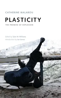 La plasticité : La promesse d'une explosion - Plasticity: The Promise of Explosion