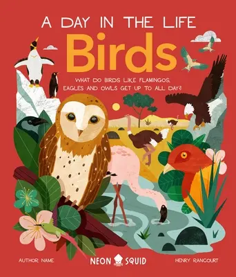 Oiseaux (une journée dans la vie) : Que font les flamants roses, les hiboux et les pingouins toute la journée ? - Birds (a Day in the Life): What Do Flamingos, Owls, and Penguins Get Up to All Day?