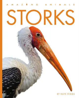 Cigognes - Storks